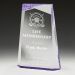 AC288C Acrylic Ballast Award 24.5cm