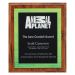 ACW814 Vivid Acrylic Plaque Green 25cm