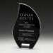 GM705B Harmony Award 20.5cm