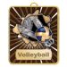 LM027G Lynx Medal Volleyball 7.5cm