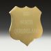 S3G Gold 36mmx40mm Engraved Aluminium Metal Shield