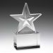 WC205 Echo Star Award 15cm