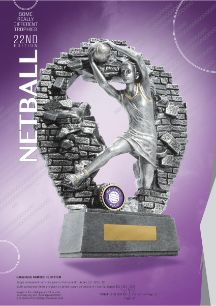 Some Really Different Netball Trophies