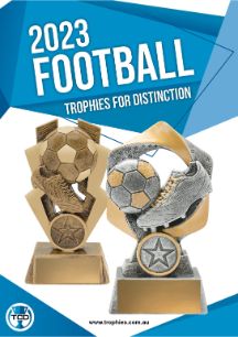Football Trophies for Distinction