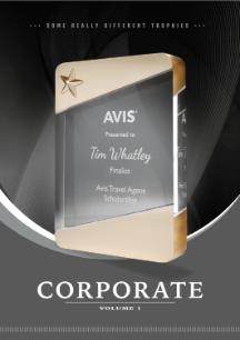 Some Really Different Corporate Trophies